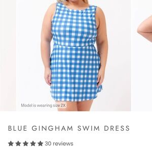 NWT Lime Ricki Blue Gingham Swim Dress